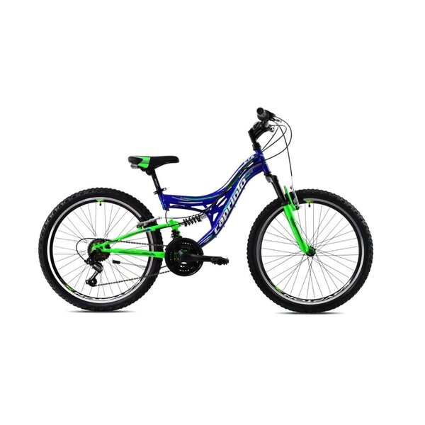 Noorukite jalgratas Capriolo CTX 240 24 sinine-roheline, raam 17 hind |  kaup24.ee
