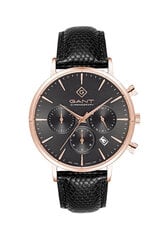 Мужские часы Gant Park Avenue Chrono-IPR G123006 890954051 цена и информация | Мужские часы | kaup24.ee