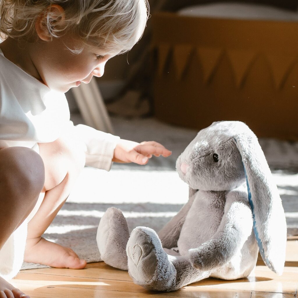 Kaisuloon Whisbear® Humming Bunny nutuanduriga Grey hind ja info | Imikute mänguasjad | kaup24.ee