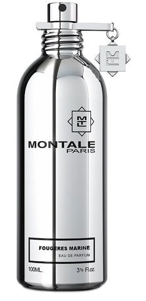 MONTALE Fougeres Marine EDP unisex 100 ml hind ja info | Naiste parfüümid | kaup24.ee