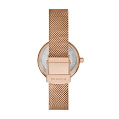 Skagen Amberline женские часы 891257092 цена и информация | Женские часы | kaup24.ee