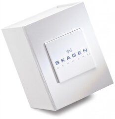 Skagen naiste käekell 358SRSC Freja 890164337 hind ja info | Naiste käekellad | kaup24.ee