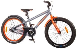 Детский велосипед Volare Rocky 20, серый цена и информация | Велосипеды | kaup24.ee