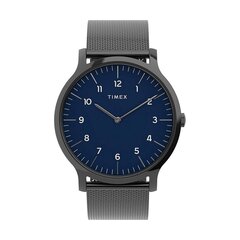 Meeste käekell Timex TW2T95200 890943021 цена и информация | Мужские часы | kaup24.ee