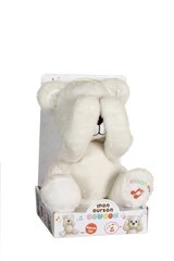 Peekaboo Bear 24cm karu hind ja info | Pehmed mänguasjad | kaup24.ee