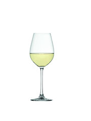 Spiegelau Valge veini klaasid Salute, 4tk. hind ja info | Klaasid, tassid ja kannud | kaup24.ee