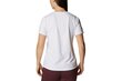 Naiste T-särk Columbia Sun Trek W Graphic Tee 1931753101, valge hind ja info | Naiste T-särgid, topid | kaup24.ee