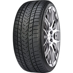 GRIPMAX Suregrip Pro Winter 275/35R22 104V XL цена и информация | Зимняя резина | kaup24.ee