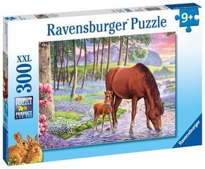 Ravensburger: XXL 300EL puzzle. - hobused päikeseloojangul hind ja info | Pusled | kaup24.ee