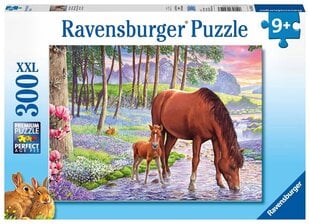 Ravensburger: XXL 300EL puzzle. - hobused päikeseloojangul цена и информация | Пазлы | kaup24.ee