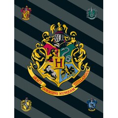 Laste fliistekk Harry Potter, 100 x 150 cm hind ja info | Voodikatted, pleedid | kaup24.ee