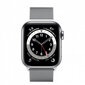 Nutikell Apple Watch Series 6 (40mm) GPS + LTE : Silver/Milanese Loop hind ja info | Nutikellad (smartwatch) | kaup24.ee