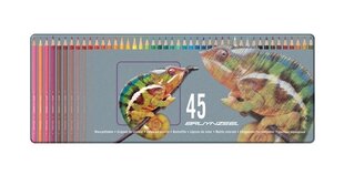 Värvipliiatsid BRUYNZEEL CHAMELEON, 45 värvi hind ja info | Kunstitarbed, voolimise tarvikud | kaup24.ee