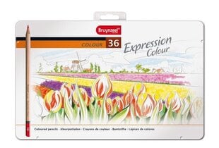 Värvipliiatsid BRUYNZEEL EXPRESSION Colour, 36 värvi hind ja info | Kunstitarbed, voolimise tarvikud | kaup24.ee
