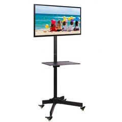 Mobiilne alus Techly TV LED/LCD 19-37", 20kg, 150cm AV riiuliga hind ja info | Teleri seinakinnitused ja hoidjad | kaup24.ee