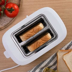 Cecotec Toast&Taste 9000 hind ja info | Rösterid | kaup24.ee