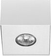 Nowodvorski Lighting laevalgusti Carson White-Silver I 5573