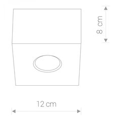 Nowodvorski Lighting laevalgusti Carson White-Silver I 5573 hind ja info | Laelambid | kaup24.ee