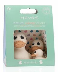 Vannimänguasjade komplekt Hevea Piilupere hind ja info | Imikute mänguasjad | kaup24.ee