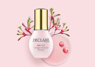 Pinguldav näoseerum Declare Collagen Elastin Booster Serum 50 ml hind ja info | Declare Kosmeetika, parfüümid | kaup24.ee