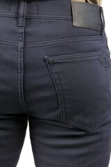 Зимние штаны BLK JEANS 7898311309253-31/34 цена и информация | Мужские джинсы | kaup24.ee