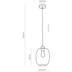 Подвесной светильник TK Lightning 3180 Elio цена и информация | Потолочный светильник, 38 x 38 x 24 см | kaup24.ee