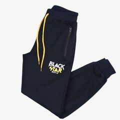 Спортивные штаны для мальчиков, синие цена и информация | Штаны для мальчика Nini | kaup24.ee