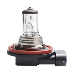 Галогенная лампа M-Tech Z8 H11 12V 55W PGJ19-2 цена и информация | Автомобильные лампочки | kaup24.ee