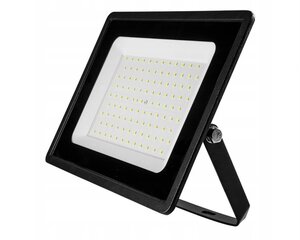LED prožektor 100W Neo цена и информация | Уличное освещение | kaup24.ee