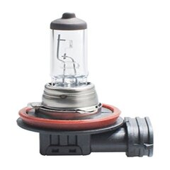 Галогенная лампа M-Tech Z64 H16 5202 12V 19W PGJ19-3 цена и информация | Автомобильные лампочки | kaup24.ee