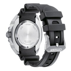 Käekell meestele Citizen Promaster Marine Titanium Diver NB6004-08E цена и информация | Мужские часы | kaup24.ee