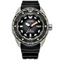 Käekell meestele Citizen Promaster Marine Titanium Diver NB6004-08E hind ja info | Meeste käekellad | kaup24.ee