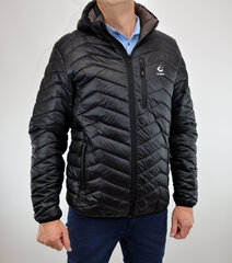 Куртка мужская Freestep 041 big, синяя цена и информация | Мужские куртки | kaup24.ee