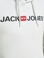 Meeste Dressipluus Jack & Jones, valge XXL hind ja info | Meeste pusad | kaup24.ee