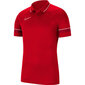 Meeste T-särk Nike Polo Dry Academy 21 M CW6104 657, punane hind ja info | Meeste T-särgid | kaup24.ee