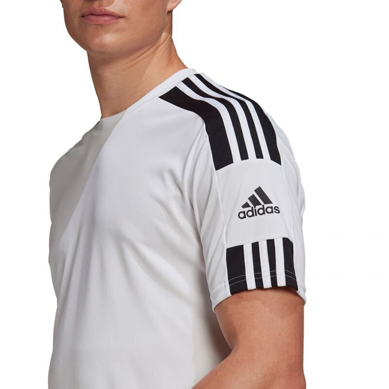 Meeste T-särk Adidas Squadra 21 JSY M GN5723, valge hind ja info | Meeste T-särgid | kaup24.ee