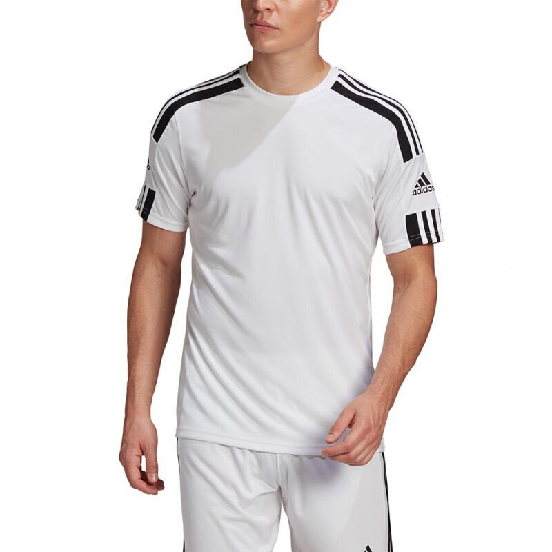 Meeste T-särk Adidas Squadra 21 JSY M GN5723, valge hind ja info | Meeste T-särgid | kaup24.ee