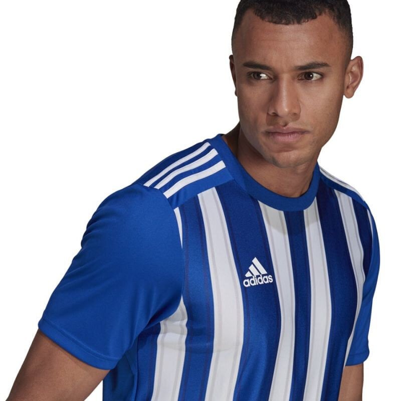 Meeste T-särk Adidas Striped 21 JSY M GH7321, sinine hind ja info | Meeste T-särgid | kaup24.ee
