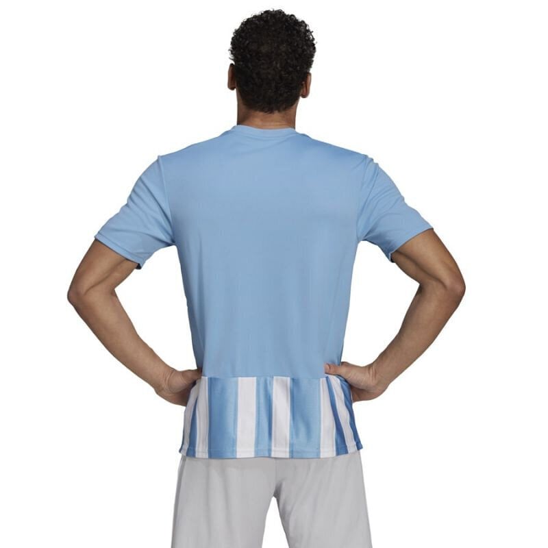 Meeste T-särk Adidas Striped 21 JSY M GN5845, sinine hind ja info | Meeste T-särgid | kaup24.ee