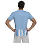 Meeste T-särk Adidas Striped 21 JSY M GN5845, sinine hind ja info | Meeste T-särgid | kaup24.ee