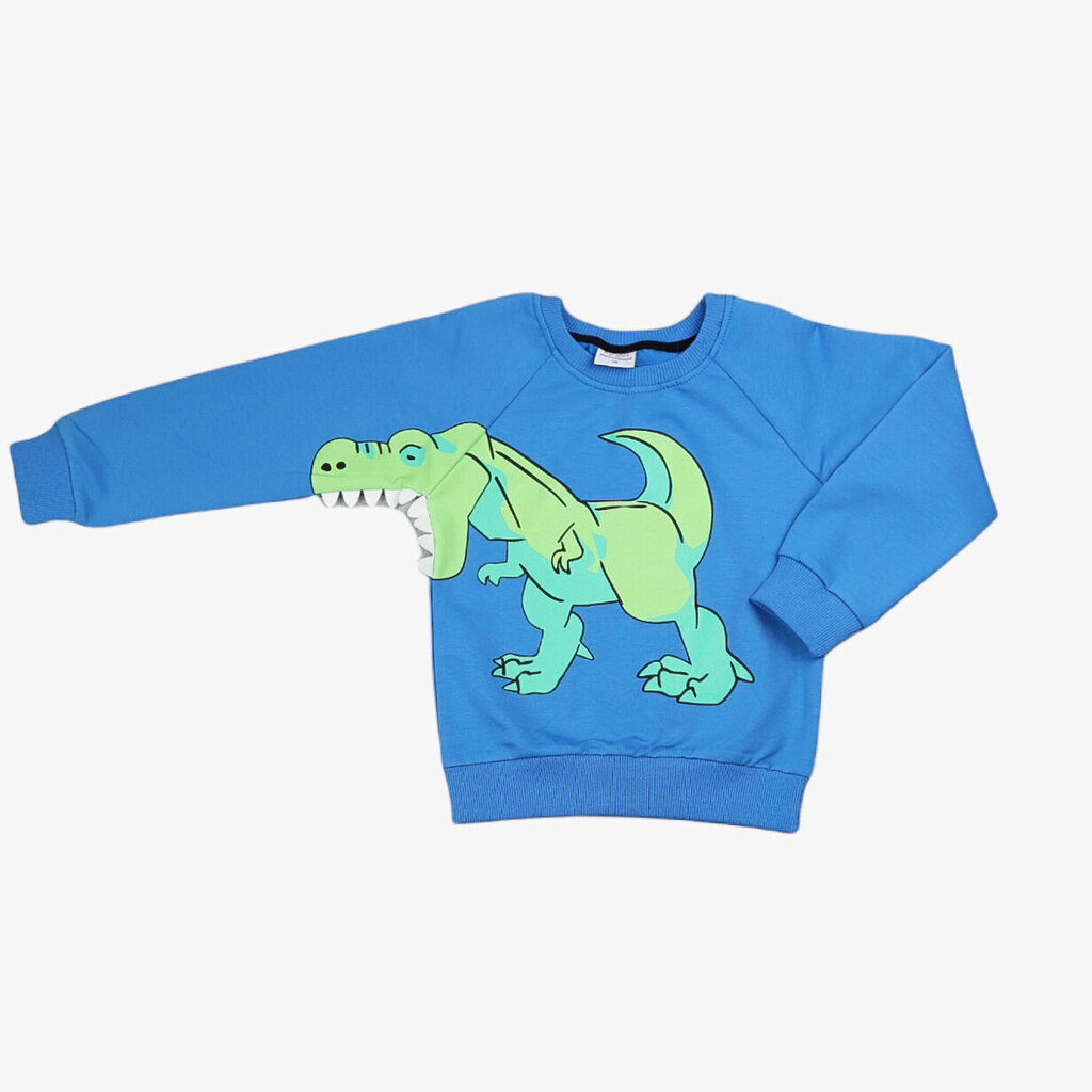 Poiste dressipluus dinosaurusega, sinine hind ja info | Poiste kampsunid, vestid ja jakid | kaup24.ee