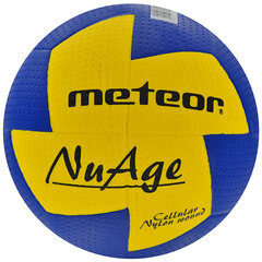 Käsipall Meteor Nu Age Mini 0 4069, sinine hind ja info | Käsipall | kaup24.ee