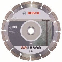 Teemantplaat Bosch 230x22,2mm, segmenteeritud hind ja info | Käsitööriistad | kaup24.ee