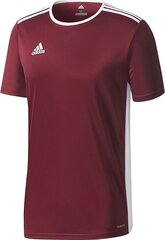 T-särk lastele Adidas Entrada 18 Jr CD8430, punane hind ja info | Poiste särgid | kaup24.ee