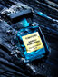 Tom Ford Neroli Portofino EDP unisex 100 ml hind ja info | Naiste parfüümid | kaup24.ee