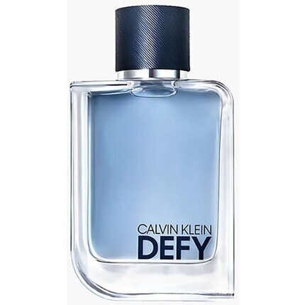 Meeste parfüüm Calvin Klein CK Defy Man EDT (100 ml) цена и информация | Meeste parfüümid | kaup24.ee