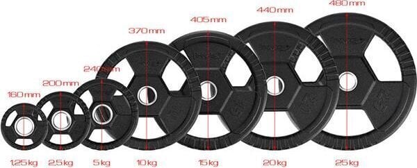 Kangiketasl HMS TOH02, 51 mm, 2,5 kg hind ja info | Hantlid, kangid, raskused | kaup24.ee