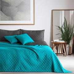 DecoKing voodikate Axel 170x270 cm цена и информация | Покрывала, пледы | kaup24.ee