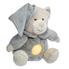 Laste öö Led lamp - Plush Teddy Bear hind ja info | Imikute mänguasjad | kaup24.ee