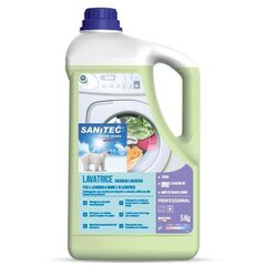 Стиральный порошок с ферментами Sanitec WASHDET White Musk, 5 л цена и информация | Средства для стирки | kaup24.ee